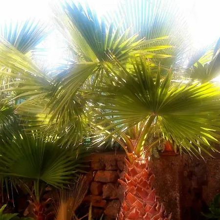 Casa Carlos Holiday home Vilaflor