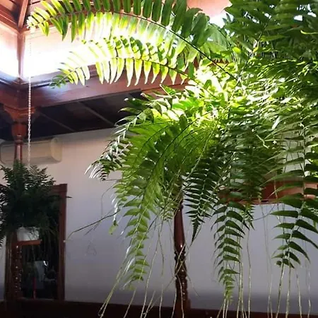 Casa Carlos Holiday home *