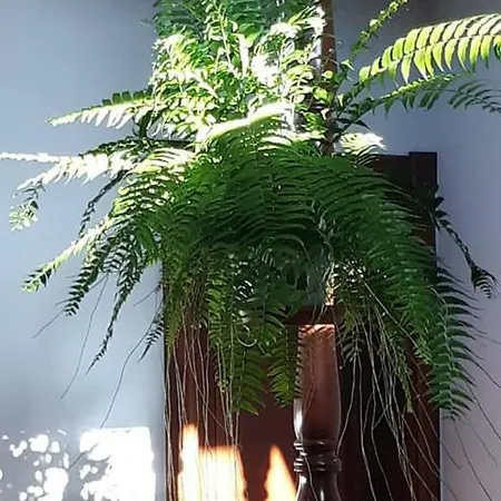 Casa Carlos Holiday home